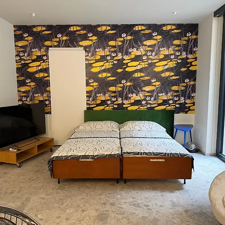 Apartment Glass & Charme - *